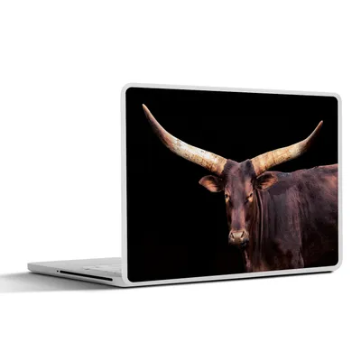 Produktbild von MuchoWow® Laptop Aufkleber Sticker Cover Kuh - Watussi - Schwarz 40x30 cm - Laptop Dekoration - Selbstklebend
