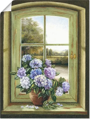 Produktbild von ARTland Poster Hortensien am Fenster Größe: 60x80 cm