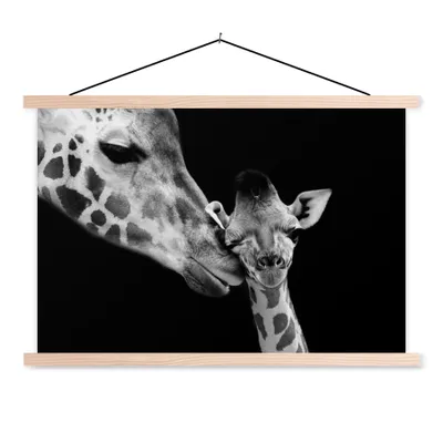 Produktbild von MuchoWow® Textilposter Tiere - Schwarz - Weiß - Giraffe - Porträt 60x40 cm mit holzfarbenen Rahmen - Bilder