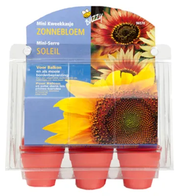 Artikelbild 1 von 'Mini-Gewächshaus Sonnenblumen' aus der Kategorie Anzuchtsets
