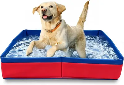 Imagen del producto de Piscina plegable para perros, resistente a los arañazos, de 50 x 50 x 10 cm, apta para perros y gatos