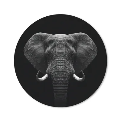 Produktbild von MuchoWow® Mauspad Mousepad Tiere - Elefant - Porträt - Schwarz - Weiß 40x40 cm - Mousepads - Maus Mat - Pad - Mausunterlage - Schreibtisch Accessoires