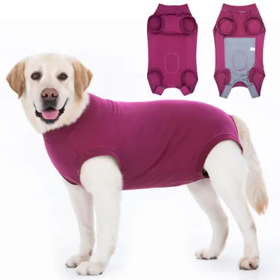 Immagine prodotto di Body per cani post-operatorio - Doppio strato in cotone sul ventre - Chiusura in velcro - Taglie da XXS a 3XL