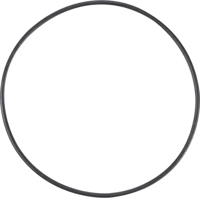 Immagine prodotto di O-ring per cuscinetto ruota posteriore 4160140