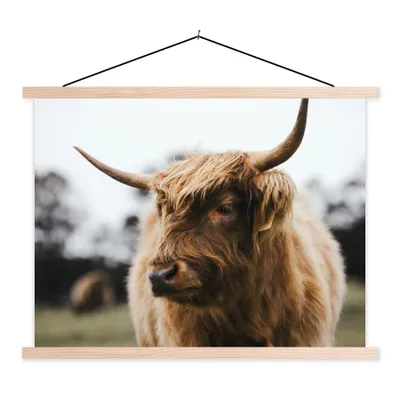 Produktbild von MuchoWow® Textilposter Schottischer Highlander - Tiere - Hörner 40x30 cm mit holzfarbenen Rahmen - Bilder