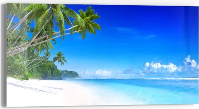 Produktbild von DEQORI Glasbild Echtglas 60x30 cm 'Palmen am Sandstrand' Wandbild Bild modern Deko