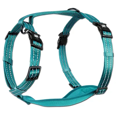 Produktbild von Alcott Abenteuergeschirr für Hunde blau Nylon L 69-96 cm