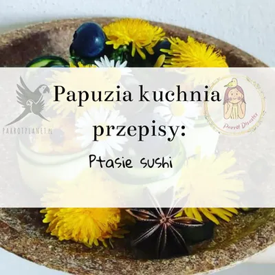 Produktbild von PAPUZIA – Küche von ParrotPlanet: "Vogel-Sushi" – Einzigartiges Rezept von Adzioszka von Parrot Disaster