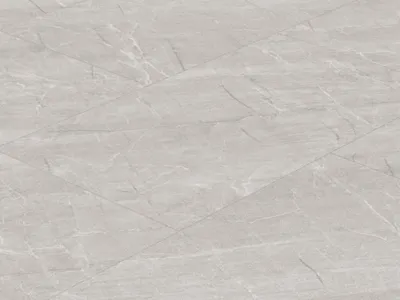 A close-up, overhead view of a light gray marble-patterned floor tile.