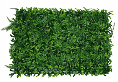Produktbild von Madex Künstliche Wandmatte Blattwerk & Farn 40x60 cm