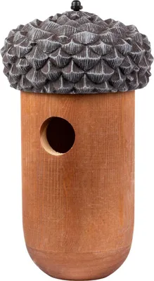 Immagine prodotto di Esschert Design | Cassetta nido per ghiande - 14x25,5 cm - Legno - Decorativa e resistente alle intemperie - Per uccelli