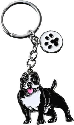 Immagine prodotto di Portachiavi per cani in metallo, colorato, taglia S, accessorio per cani