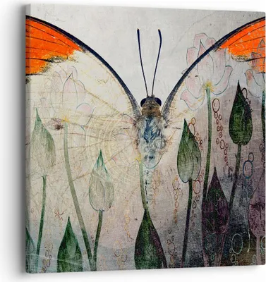 Produktbild von Bild auf Leinwand - Leinwandbild - Schmetterling Abstraktion - 40x40cm - Wand Bild - Wanddeko - Leinwanddruck - Bilder - Kunstdruck - Wanddekoration - Leinwand bilder - Wandkunst - AC40x40-4081