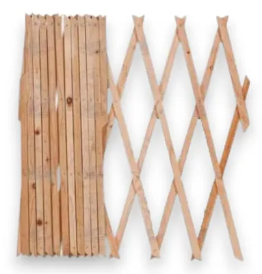 Immagine prodotto di Traliccio estensibile 120xH180 cm da interno in legno impregnato per terrazze e balconi