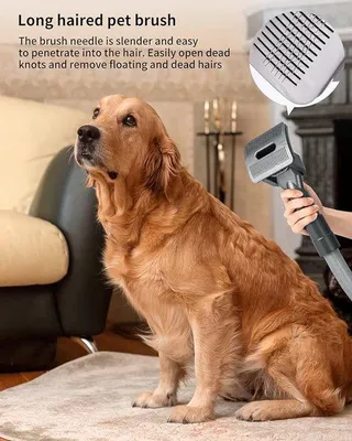 Immagine prodotto di Set di spazzole per peli di animali domestici (cani e gatti) a pelo corto, medio e lungo, con pettine massaggiante