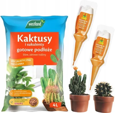 Produktbild von Blumenerde für Kakteen - 4l - mit Seramis - optimale Feuchtigkeit - gesunde Wurzelentwicklung