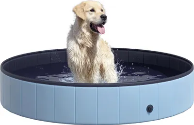 Immagine prodotto di Piscina per cani PawHut, piscina pieghevole in PVC, antiscivolo, facile da pulire, diametro 160 cm, altezza 30 cm, blu