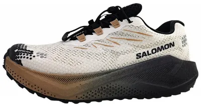 Produktbild von Salomon AERO BLAZE 4 GRVL GTX W Trekkingschuh Weiß in Gr. 38
