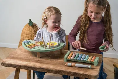 Image de Ensemble d'instruments de musique / Dantoy