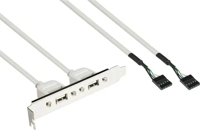 Image de Adaptateur USB 2.0 à double emplacement, 2 connecteurs internes à 5 broches