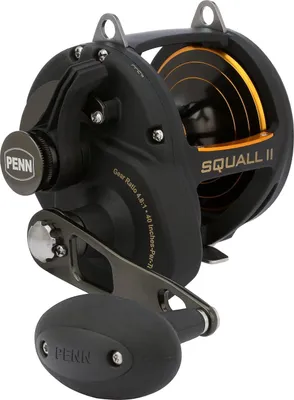 Produktbild von Penn Squall II 50 Lever Drag - Multirolle
