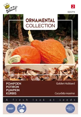 Produktbild von Buzzy Ornamental Kürbis Golden Hubbard Samen - Ca. 2.5 gr | Buzzy_024773