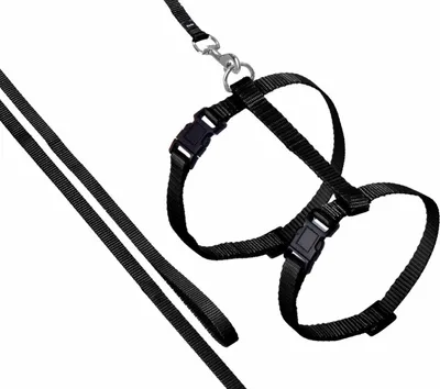 Obrázok produktu pre Karlie ASP Katzengeschirr mit Leine - Schwarz