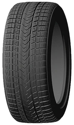 Obrázok produktu pre 255/45R19 104V WINTER PRO Max XL