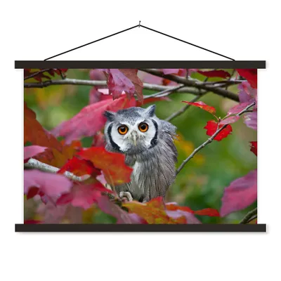 Produktbild von MuchoWow® Textilposter Eule - Vogel - Laub - Herbst 60x40 cm mit schwarzem Rahmen - Hölzernes