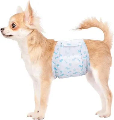 Produktbild von Hundewindeln M, superabsorbierend, 44 Stück, für Rüden mit Taillenumfang 45-63 cm