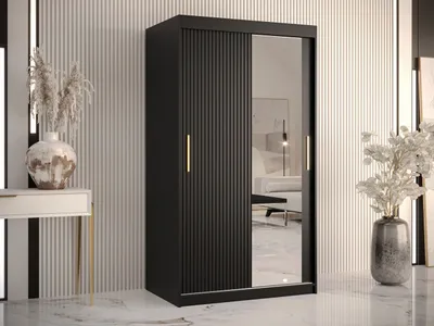 Obrázok produktu pre Šatníková skriňa 100 cm so zrkadlom LONZO 2 - čierna