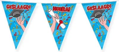 Immagine prodotto di Bandiera Paperdreams - Linea - file - 10 m
