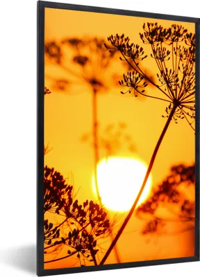 Produktbild von MuchoWow® Gerahmtes Poster Pflanzen - Blumen - Sonnenuntergang - Orange 40x60 cm - Poster mit Schwarzem Bilderrahmen Wandposter Rahmen Foto Bilder - Papierdruck - Wandbilder