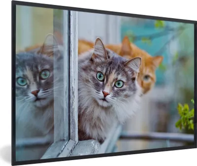 Produktbild von MuchoWow® MuchoWow® Gerahmtes Poster Katze - Fenster - Katzen 30x20 cm - Poster mit zchwarzem Bilderrahmen - Kunstdruck - Bild-Poster