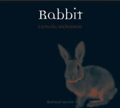 Produktbild von Dickenson, V: Rabbit