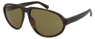 Produktbild von Sonnenbrille Guess GU00303 52N