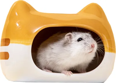 Image de 12cm Céramique Cache-cache pour petits animaux, Imprimé Tigre, Cool Hamster House, Mignon petit animal de compagnie, Écureuil, Hérisson, Nid de Chinchilla