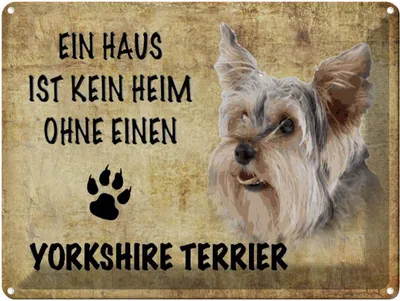 Produktbild von vianmo Blechschild 30x40 cm Yorkshire Terrier Hund