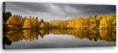Produktbild von Leinwandbild Gelb Herbstwald Natur Landschaft 150x50 Feeby Gelb bild für die wand bereit zum aufhängen