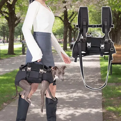Produktbild von Hundegeschirr mit Beinstütze und Transportbox - Verstellbares Geschirr mit Stoßdämpfung für Wanderungen und die Rehabilitation älterer Rassen