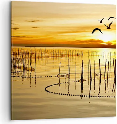 Produktbild von Bild auf Leinwand - Leinwandbild - See Vogel Wasser - 60x60cm - Wand Bild - Wanddeko - Wandbilder - Leinwanddruck - Bilder - Kunstdruck - Wanddekoration - Leinwand bilder - Wandkunst - AC60x60-3616