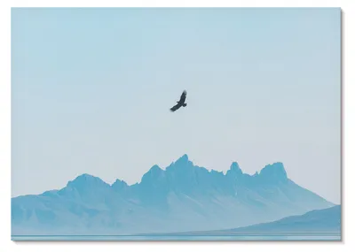 Produktbild von POSTER - 29x21 cm (A4) - Alberto - Minimalistische Bergvogellandschaft -  Wandbild für Wohnzimmer Schlafzimmer & Flur, Modernes Poster Wanddeko, Ungerahmt