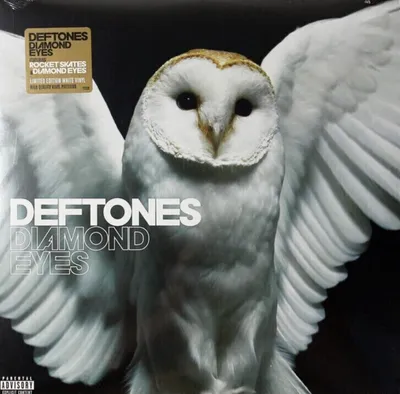A close-up of a barn owl with its wings spread, superimposed with the album title and artist name.