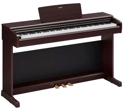 Obrázek produktu pro Yamaha YDP-146 R