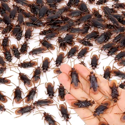 Imagen del producto de Grapículos - Set de 50 - Cucarachas de plástico realistas - Tan realistas que engañan - Artículo de broma para chistes y Halloween