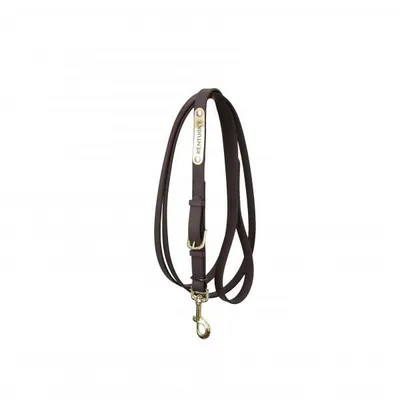 Image de Kentucky Horsewear Longe de présentation robuste & flexible Noir