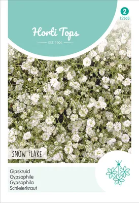 Produktbild von Schleierkraut Schneeflocke | Blumensamen von Hortitops