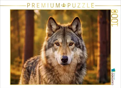 Produktbild von CALVENDO Puzzle Größe hat viele Gesichter. | 1000 Teile Lege-Größe 64x48cm Foto-Puzzle für glückliche Stunden