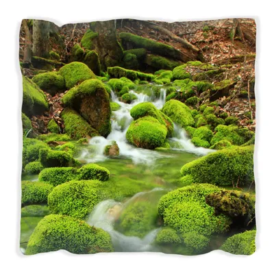 Produktbild von Wallario Premium Kissen, weiche Oberfläche, mit Motiv Moosiger Bach, Größe: 30 x 30 cm, mit weißer Rückseite