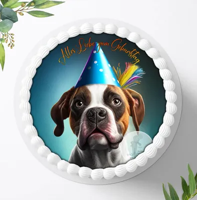 Produktbild von Für die Geburtstags Torte ein Tortenaufleger, Zuckerbild mit dem Motiv: Funny Crazy Pictures, Essbares Foto für Torten, Fondant, Ø 20cm, 1983z